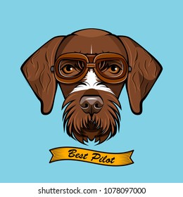 German Wirehaired Pointer dog Pilot. Aviator Glasses. Best pilot lettering. Vector Illustration