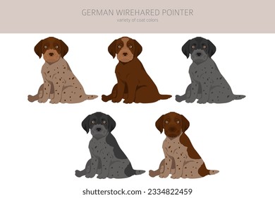 German wirehaired pointer puppies clipart. Different poses, coat colors set.  Vector illustration