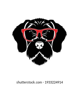 German wirehaired pointer with red eyeglasses - dog breed - isolated vector illustration