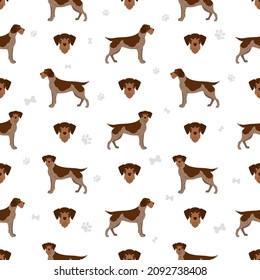 German wirehaired pointer seamless pattern. Different poses, coat colors set.  Vector illustration