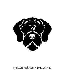 German wirehaired pointer with sunglasses - dog breed - isolated vector illustration