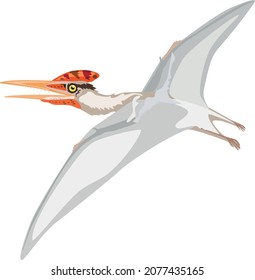 
Germanodactyl is a dinosaur from the genus of pterosaurs. Vector illustration