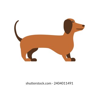 germany dachshund dog illustration isolated