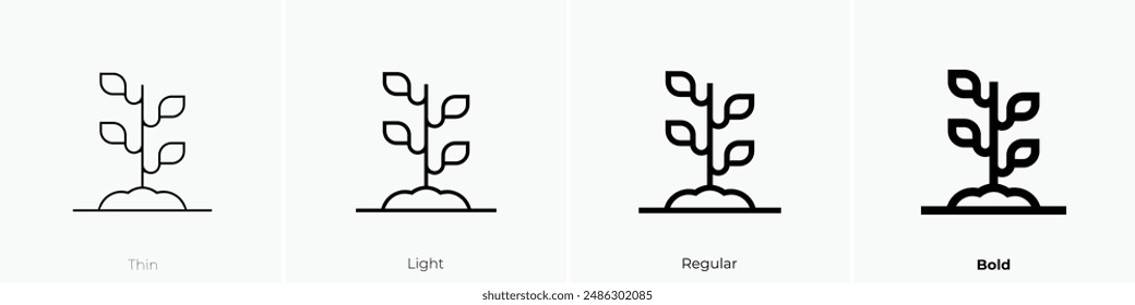 germinate icon. Thin, Light Regular And Bold style design isolated on white background