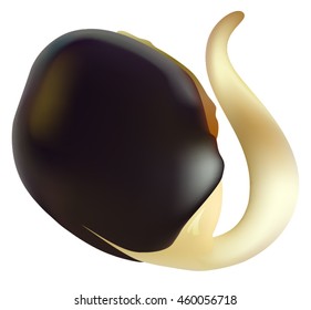 Germinated seed on a white background. Photorealistic vector illustration