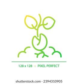 Germination gradient linear vector icon. Seed starting. Seedling sprouting from soil. Plant growth stage. Thin line color symbol. Modern style pictogram. Vector isolated outline drawing