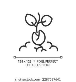 Germination linear icon. Seed starting. Seedling sprouting from soil. Plant growth stage. Organic horticulture. Thin line illustration. Contour symbol. Vector outline drawing. Editable stroke