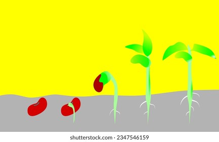 Germination seed in Soil. Sprout in soil. Vector illustration of beginning growth Seed.