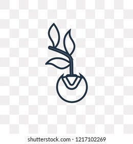 Germination vector outline icon isolated on transparent background, high quality linear Germination transparency concept can be used web and mobile