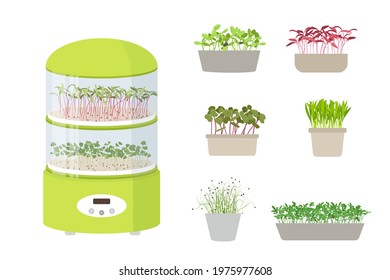 Germinator with Sprout Trays for micro greens. Set of seeds and sprouts of microgreens in boxes. Organic healthy vegeterian superfood. Cartoon Flat Vector illustration isolated on white background