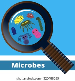 germs and bacteria under the magnifying glass 