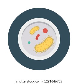 germs   bacteria   virus 