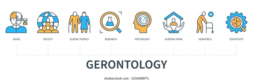 Concepto de gerontología con iconos. Envejecimiento, sociedad, personas mayores, investigación, psicología, hogar de enfermería, geriatría, cognitividad. Cartel comercial. Infografía vectorial web con un estilo mínimo de línea plana