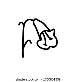 Icono de Gesneriad. Línea simple, contorno de elementos vectores de iconos botánicos para ui y ux, sitio web o aplicación móvil