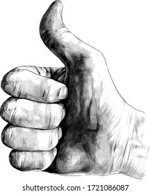 gesture class thumbs up, sketch vector graphics monochrome illustration on white background