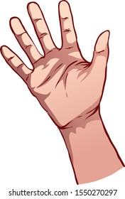 gesture hands vector illustration outline style design colourful shading and counting