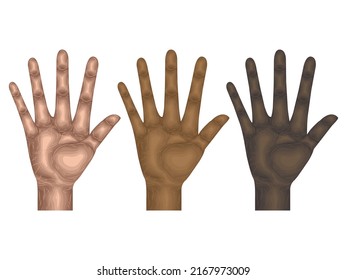 gesture language hand vector body arm sign finger part model anatomy collection skin human idea up