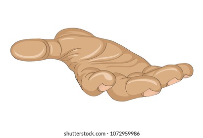 Gesture open palm. Hand gives or receives. Vector illustration on white background. Empty space for advertising