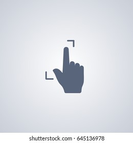 Gesture touch scale icon
