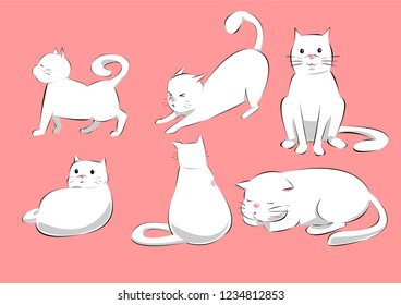 The gesture of a white kitten.