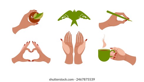 Gestures with female hands. Hands hold a cup of tea and coffee, write with a pencil, show love, release the bird. Vector illustration.