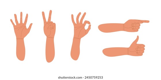 Gesturing. Set of hands in different gestures. Various hand signs. Human hands show signs. Vector flat illustration of hands in various situations isolated on white