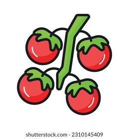 Get hold this captivating icon of tomatoes in modern style, ready to use vector