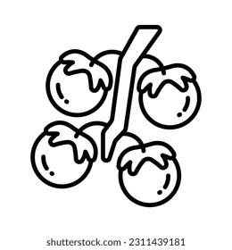 Get hold this captivating icon of tomatoes in modern style, ready to use vector