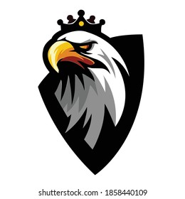 Get inspired by these amazing falcon logos created by professional designer