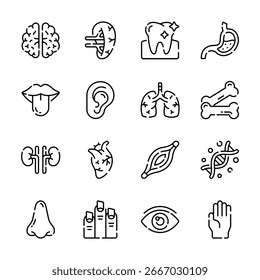 Get this premium collection of human anatomy outline style icons