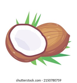 Ponga sus manos en este ícono isométrico del coco 


