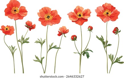 Geum coccineum conjunto floral, corte frontal isolado, ilustração vetorial, flor perene, jardim botânico, flores vermelhas brilhantes, planta decorativa, conceito de natureza, estação de primavera.