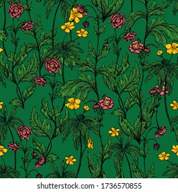 Geum Rivale and yellow Anemone flowers, wild plants decorative wallpaper. Hand drawn vector vintage seamless pattern. Botanical gentle floral background. Colorful design for wrap, textile, print etc.