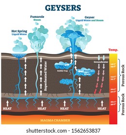 Geysers vector illustration. Labeled water and air steam from earth heat. Educational geology phenomenon with vapor smokes above ground. Explanation diagram with spring and fumarole types comparison.