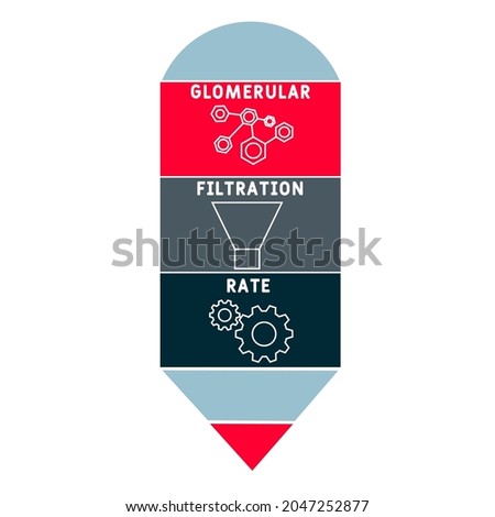GFR - Glomerular Filtration Rate acronym. medical concept background.  vector illustration concept with keywords and icons. lettering illustration with icons for web banner, flyer, landing 
