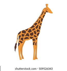 Ggiraffe cartoon vector illustration