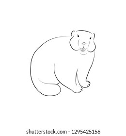 Ggroundhog outline drawing on a white background.