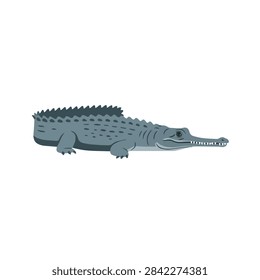 Gharial Crocodile with Long Snout Vector Illustration Isolated on White Background