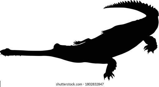 Gharial (Gavialis gangeticus) Silhouette Found In Map Of Asia