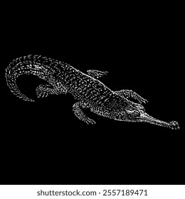 gharial hand drawing vector isolated on black background.