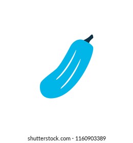 Gherkin icon colored symbol. Premium quality isolated cucumber element in trendy style.