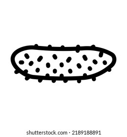 vector de icono de línea gherkin gherkin gherkin. signo de gherkin gherkin. símbolo de contorno aislado ilustración negra