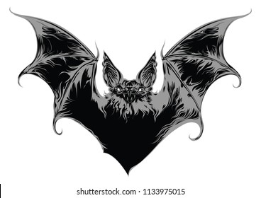 Ghost bat vector illustration