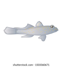 Ghost Goby Fish Vector Illustration Isolated On White Background