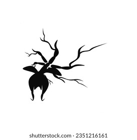 Ghost Orchid illustration on white background