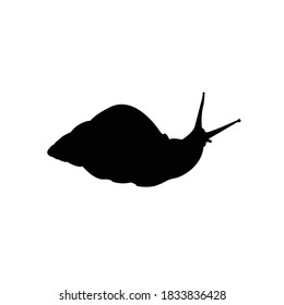 Giant African Land Snail Silhouette Illustration