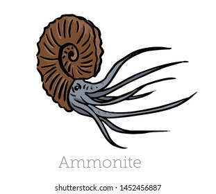 Giant ammonite on a white background. Giant ancient mollusks of the Cretaceous period. Vector illustration.