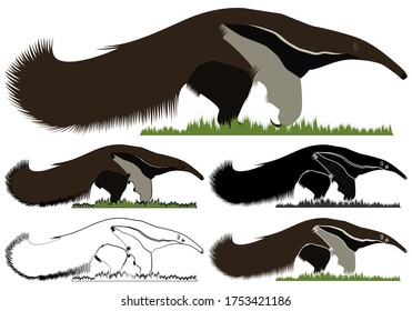 Giant Anteater bandeira 