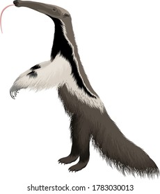  Giant-Anteater-Cartoon-Vektorgrafik