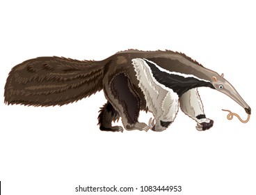 Giant Anteater cartoon walking with happy face